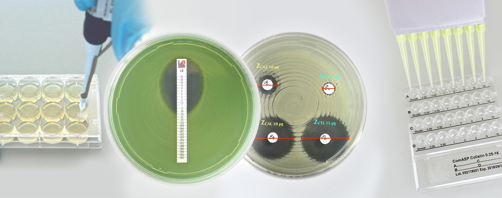 河南利飛馳生物技術(shù)有限公司